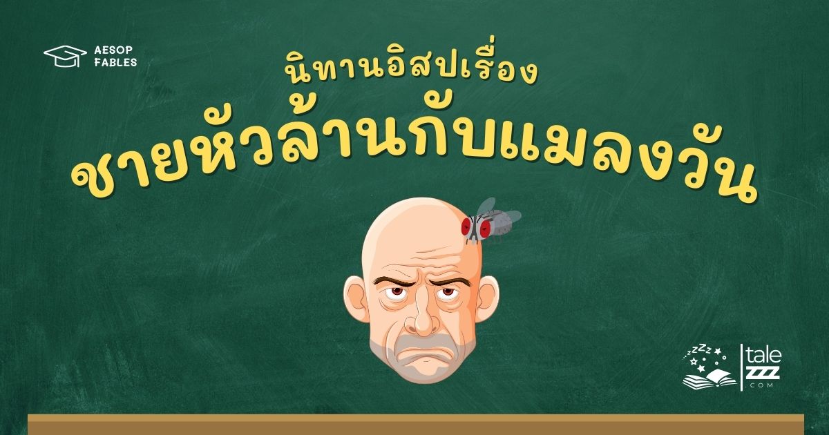 ปกนิทานอีสปเรื่องชายหัวโล้นกับแมลงวัน