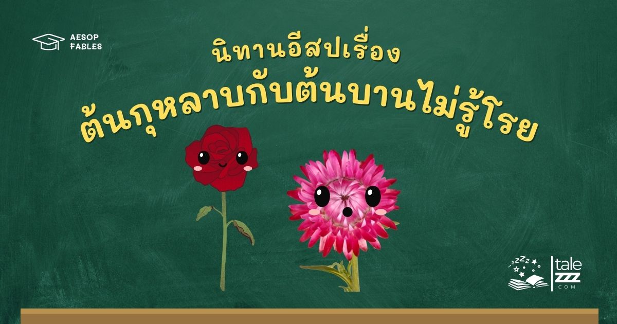 ปกนิทานอีสปเรื่องต้นกุหลาบกับต้นบานไม่รู้โรย