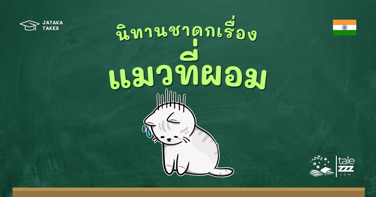 ปกนิทานชาดกเรื่องแมวที่ผอม